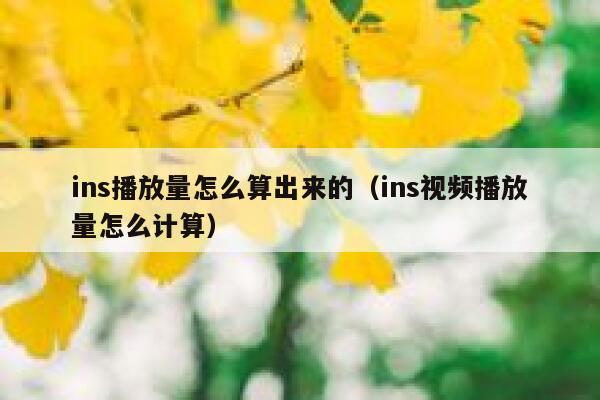 ins播放量怎么算出来的(ins视频播放量怎么计算) 第1张 ins播放量怎么算出来的(ins视频播放量怎么计算) 第1张