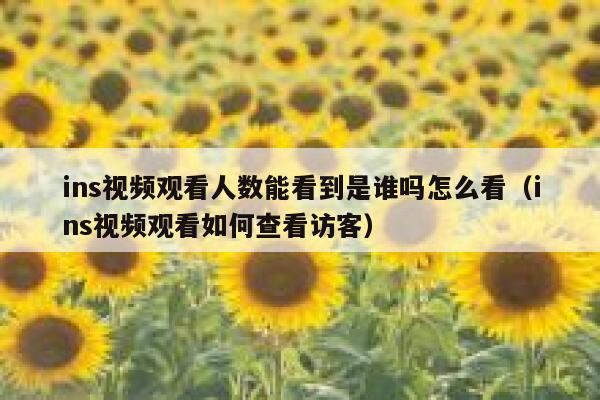 ins视频观看人数能看到是谁吗怎么看（ins视频观看如何查看访客） 第1张