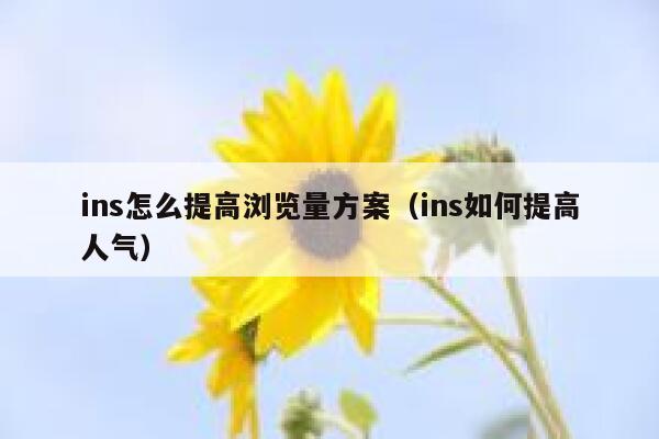 ins怎么提高浏览量方案（ins如何提高人气） 第1张