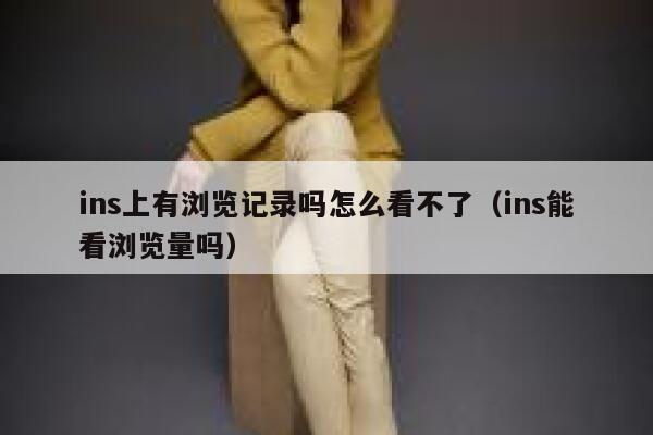 ins上有浏览记录吗怎么看不了（ins能看浏览量吗） 第1张