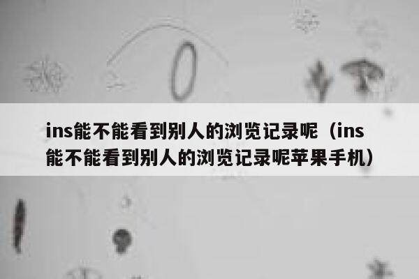 ins能不能看到别人的浏览记录呢(ins能不能看到别人的浏览记录呢苹果手机) 第1张 ins能不能看到别人的浏览记录呢(ins能不能看到别人的浏览记录呢苹果手机) 第1张