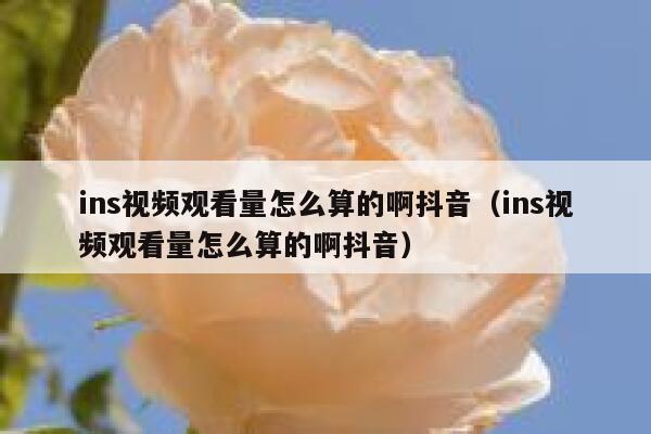ins视频观看量怎么算的啊抖音（ins视频观看量怎么算的啊抖音） 第1张