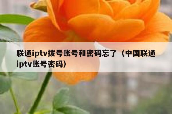 联通iptv拨号账号和密码忘了(中国联通iptv账号密码) 第1张 联通iptv拨号账号和密码忘了(中国联通iptv账号密码) 第1张
