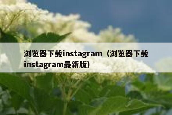 浏览器下载instagram（浏览器下载instagram最新版） 第1张