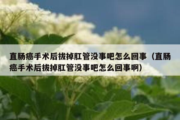直肠癌手术后拔掉肛管没事吧怎么回事（直肠癌手术后拔掉肛管没事吧怎么回事啊） 第1张
