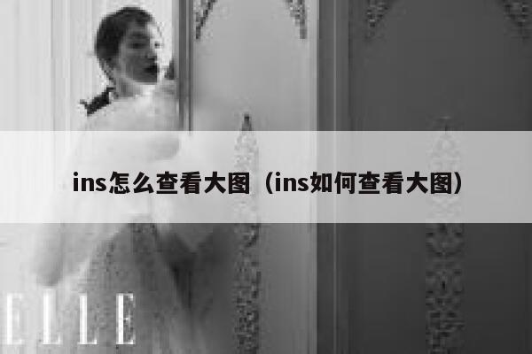 ins怎么查看大图（ins如何查看大图） 第1张