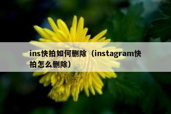 ins快拍如何删除（instagram快拍怎么删除） 第1张