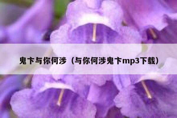 鬼卞与你何涉（与你何涉鬼卞mp3下载） 第1张