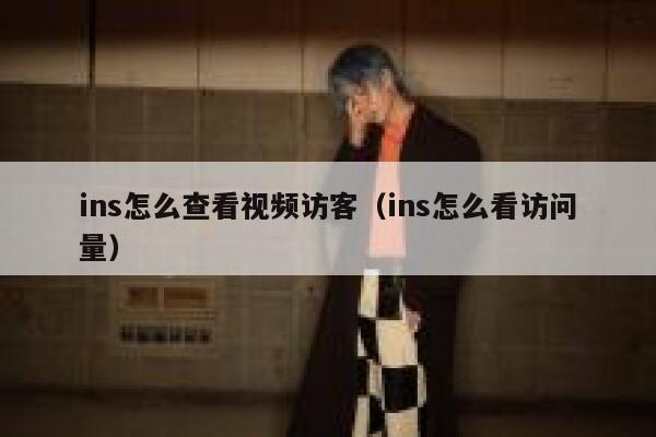 ins怎么查看视频访客（ins怎么看访问量） 第1张