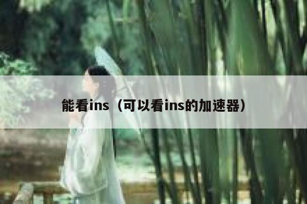 能看ins(可以看ins的加速器) 第1张 能看ins(可以看ins的加速器) 第1张