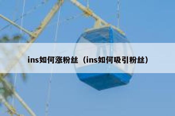 ins如何涨粉丝（ins如何吸引粉丝） 第1张
