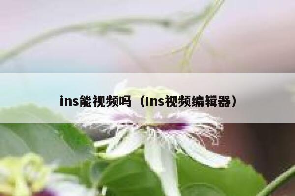 ins能视频吗(Ins视频编辑器) 第1张 ins能视频吗(Ins视频编辑器) 第1张