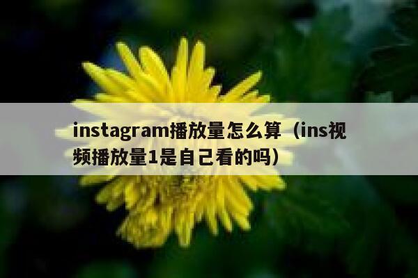 instagram播放量怎么算（ins视频播放量1是自己看的吗） 第1张