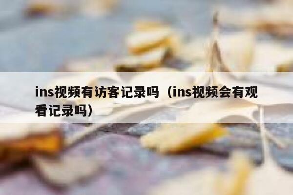 ins视频有访客记录吗（ins视频会有观看记录吗） 第1张