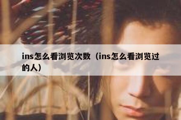ins怎么看浏览次数（ins怎么看浏览过的人） 第1张