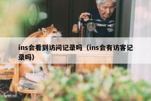 ins会看到访问记录吗（ins会有访客记录吗） 第1张