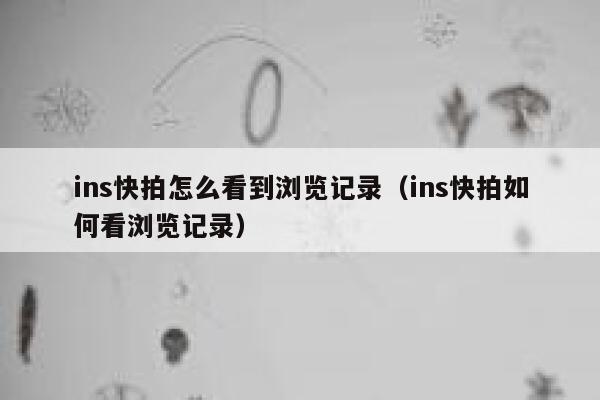 ins快拍怎么看到浏览记录（ins快拍如何看浏览记录） 第1张
