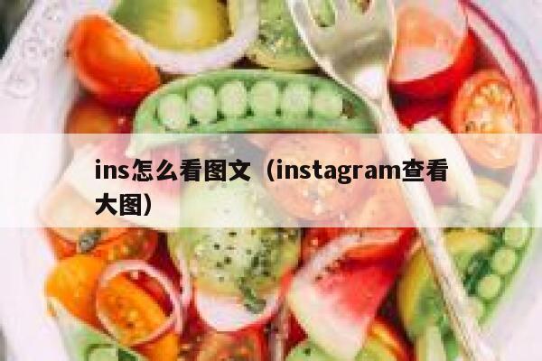 ins怎么看图文（instagram查看大图） 第1张