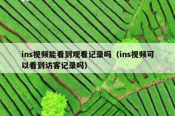 ins视频能看到观看记录吗(ins视频可以看到访客记录吗) 第1张 ins视频能看到观看记录吗(ins视频可以看到访客记录吗) 第1张