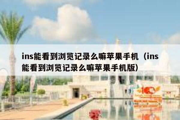 ins能看到浏览记录么嘛苹果手机（ins能看到浏览记录么嘛苹果手机版） 第1张