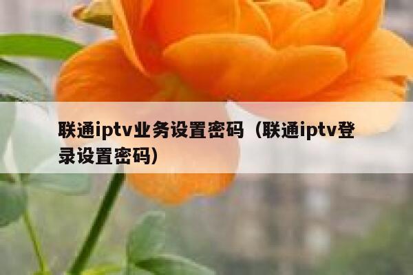 联通iptv业务设置密码(联通iptv登录设置密码) 第1张 联通iptv业务设置密码(联通iptv登录设置密码) 第1张
