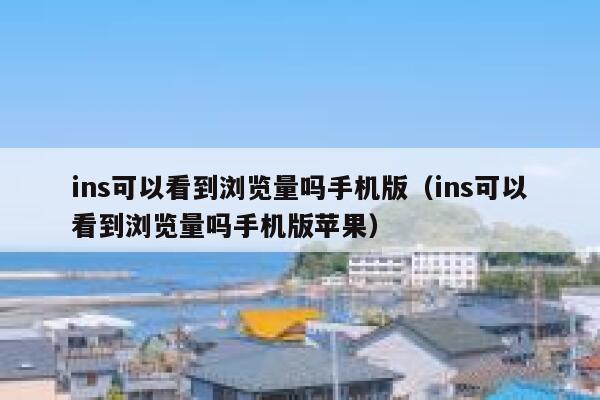 ins可以看到浏览量吗手机版（ins可以看到浏览量吗手机版苹果） 第1张