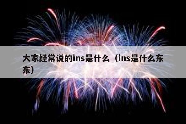 大家经常说的ins是什么（ins是什么东东） 第1张