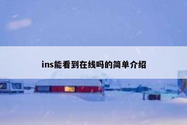 ins能看到在线吗的简单介绍 第1张