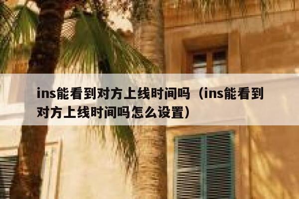 ins能看到对方上线时间吗（ins能看到对方上线时间吗怎么设置） 第1张