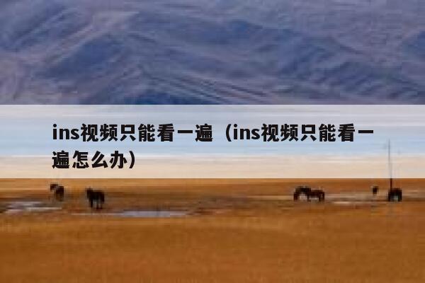 ins视频只能看一遍（ins视频只能看一遍怎么办） 第1张