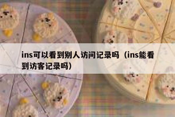 ins可以看到别人访问记录吗（ins能看到访客记录吗） 第1张