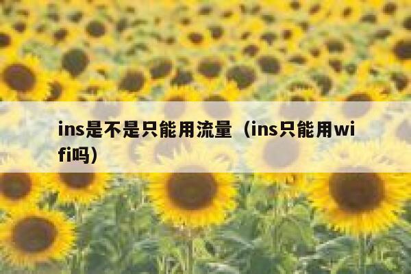 ins是不是只能用流量（ins只能用wifi吗） 第1张