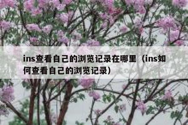 ins查看自己的浏览记录在哪里（ins如何查看自己的浏览记录） 第1张