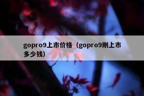 gopro9上市价格（gopro9刚上市多少钱） 第1张