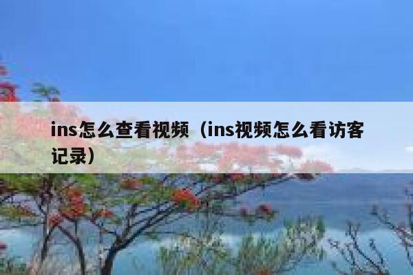 ins怎么查看视频(ins视频怎么看访客记录) 第1张 ins怎么查看视频(ins视频怎么看访客记录) 第1张