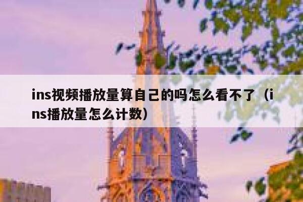 ins视频播放量算自己的吗怎么看不了(ins播放量怎么计数) 第1张 ins视频播放量算自己的吗怎么看不了(ins播放量怎么计数) 第1张