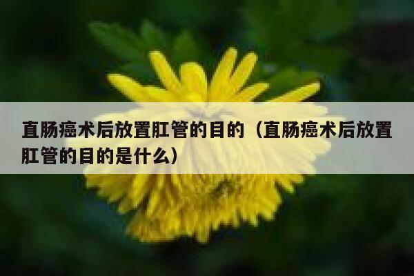 直肠癌术后放置肛管的目的(直肠癌术后放置肛管的目的是什么) 第1张 直肠癌术后放置肛管的目的(直肠癌术后放置肛管的目的是什么) 第1张
