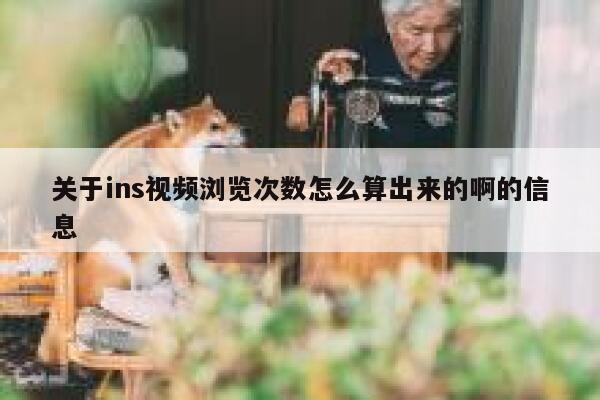 关于ins视频浏览次数怎么算出来的啊的信息 第1张