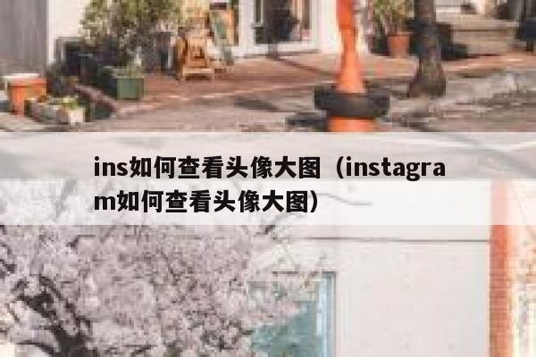 ins如何查看头像大图（instagram如何查看头像大图） 第1张