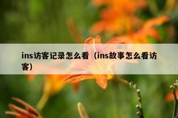 ins访客记录怎么看(ins故事怎么看访客) 第1张 ins访客记录怎么看(ins故事怎么看访客) 第1张