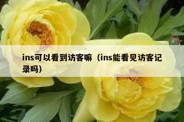 ins可以看到访客嘛(ins能看见访客记录吗) 第1张 ins可以看到访客嘛(ins能看见访客记录吗) 第1张