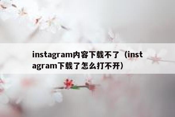 instagram内容下载不了(instagram下载了怎么打不开) 第1张 instagram内容下载不了(instagram下载了怎么打不开) 第1张