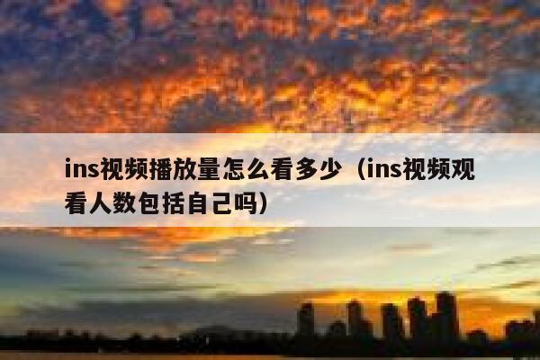 ins视频播放量怎么看多少(ins视频观看人数包括自己吗) 第1张 ins视频播放量怎么看多少(ins视频观看人数包括自己吗) 第1张