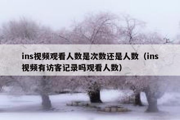 ins视频观看人数是次数还是人数(ins视频有访客记录吗观看人数) 第1张 ins视频观看人数是次数还是人数(ins视频有访客记录吗观看人数) 第1张