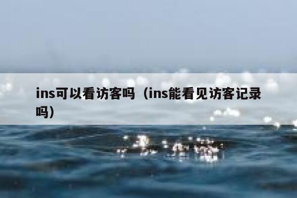 ins可以看访客吗（ins能看见访客记录吗） 第1张