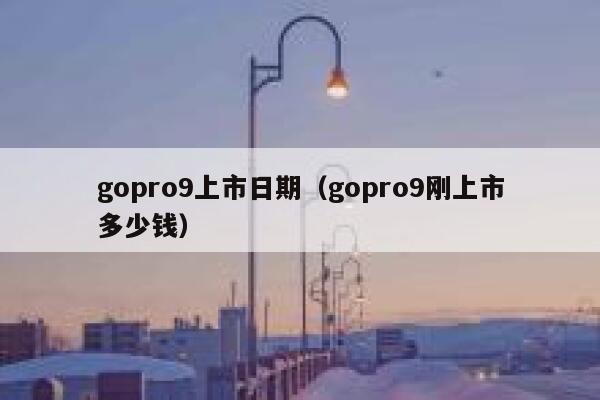 gopro9上市日期（gopro9刚上市多少钱） 第1张