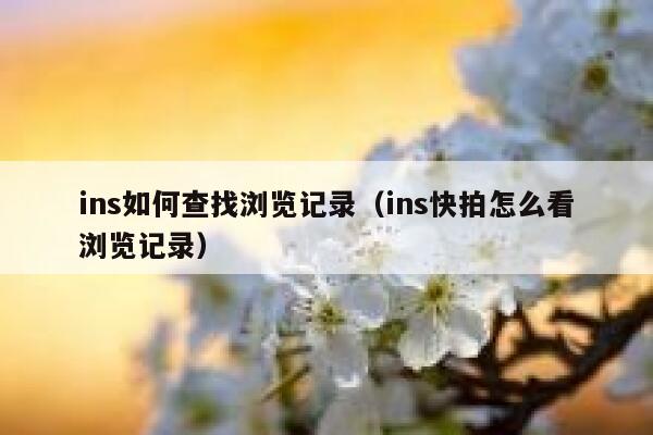 ins如何查找浏览记录(ins快拍怎么看浏览记录) 第1张 ins如何查找浏览记录(ins快拍怎么看浏览记录) 第1张