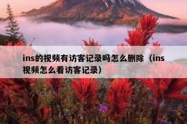ins的视频有访客记录吗怎么删除（ins视频怎么看访客记录） 第1张
