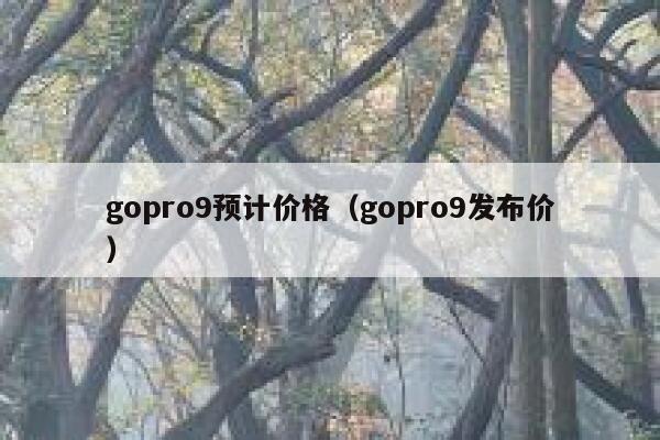 gopro9预计价格(gopro9发布价) 第1张 gopro9预计价格(gopro9发布价) 第1张