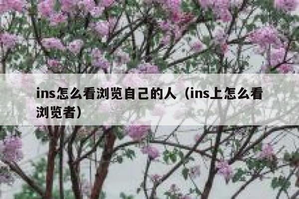 ins怎么看浏览自己的人(ins上怎么看浏览者) 第1张 ins怎么看浏览自己的人(ins上怎么看浏览者) 第1张